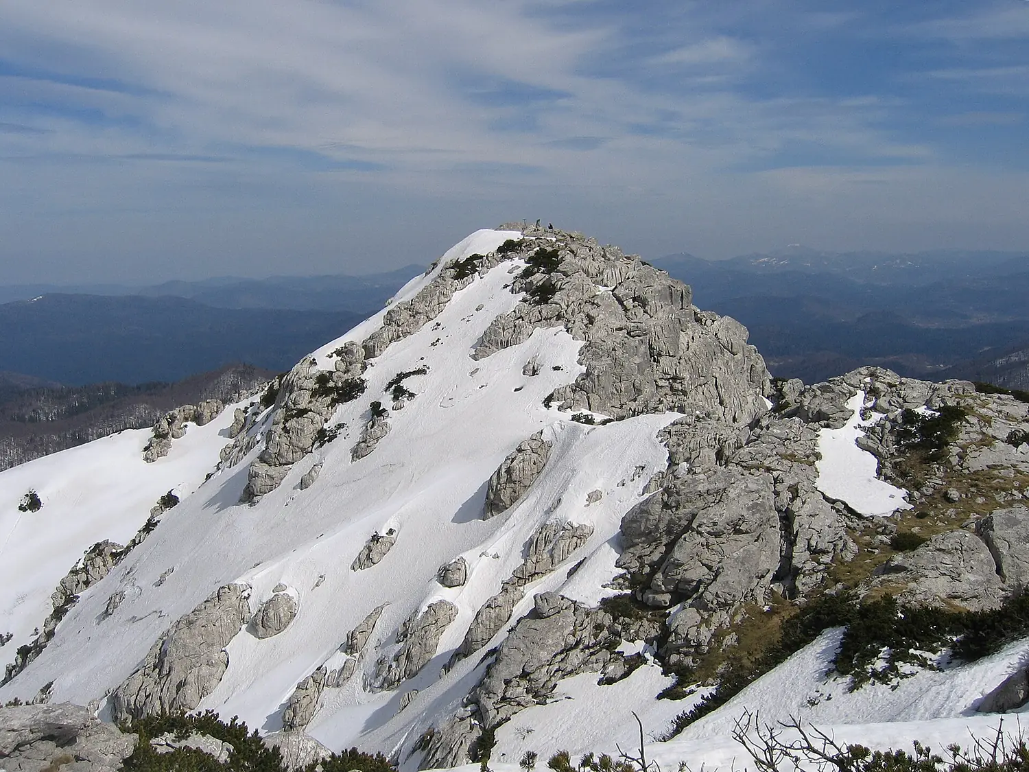 Risnjak