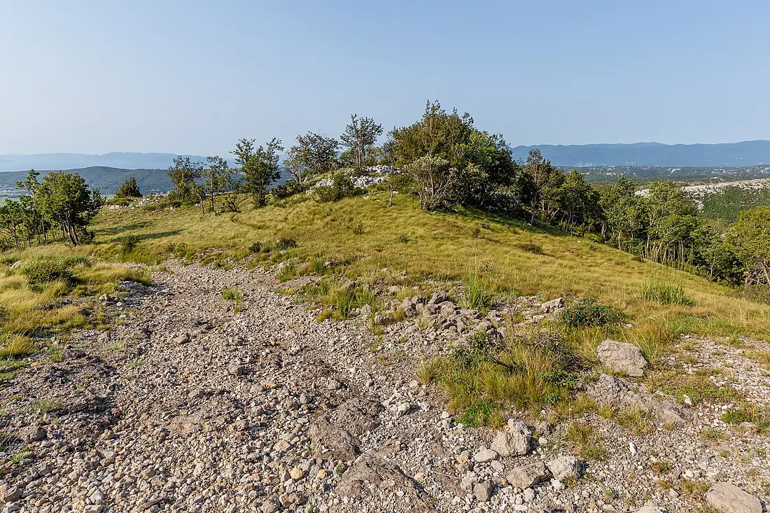 A forest road, Risnjak National Park, Croatia 04