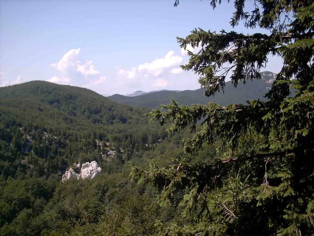 Gorski Kotar-Risnjak