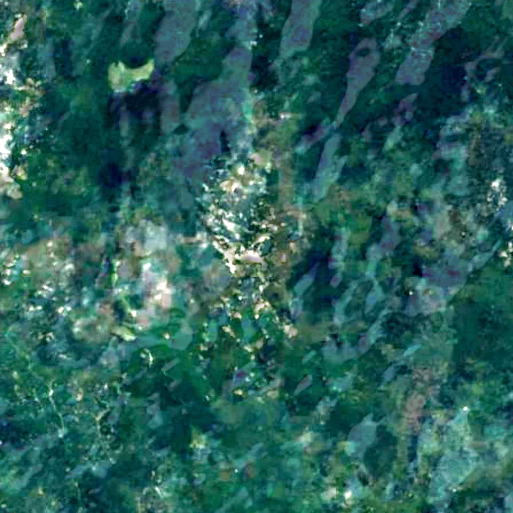 Risnjak seen from above (Sentinel-2)