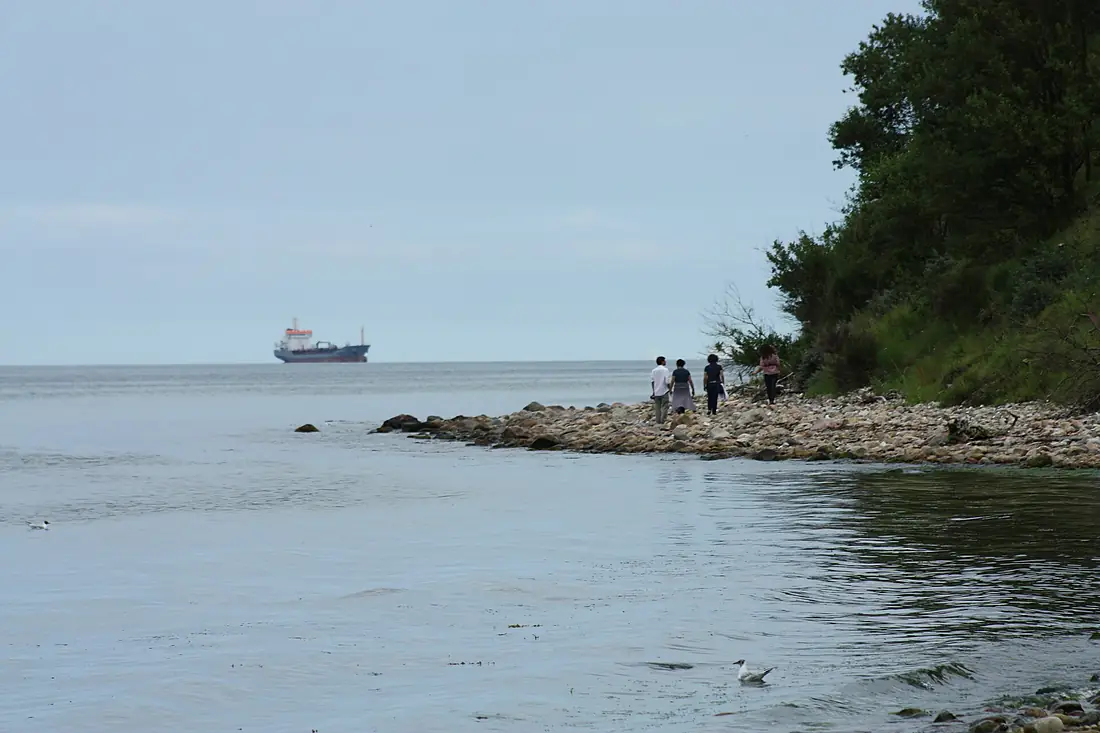 Røjle Klint, 5500 Middelfart, Denmark - panoramio (1)