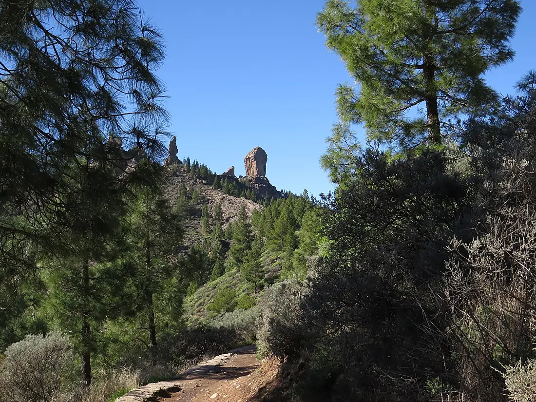 Roque Nublo 24