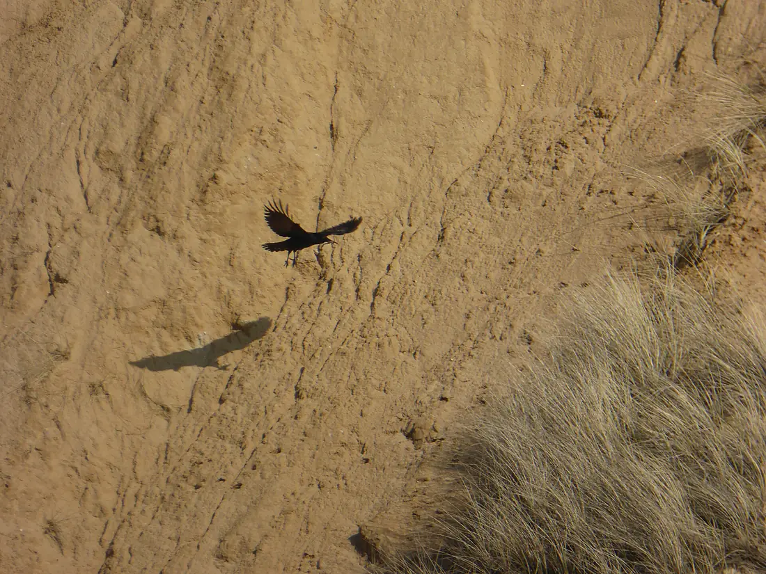 20170409 xl P1100603-Rote-Kliff