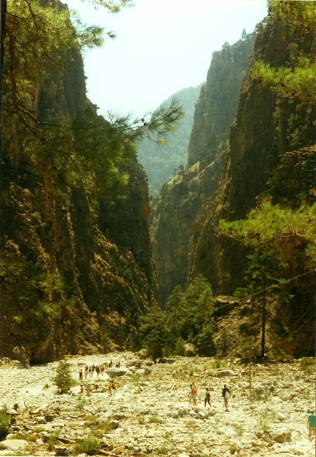 Samaria2r