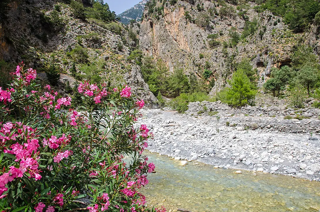Gorge of Samaria Biosphere Reserve, Crete, Greece (2)
