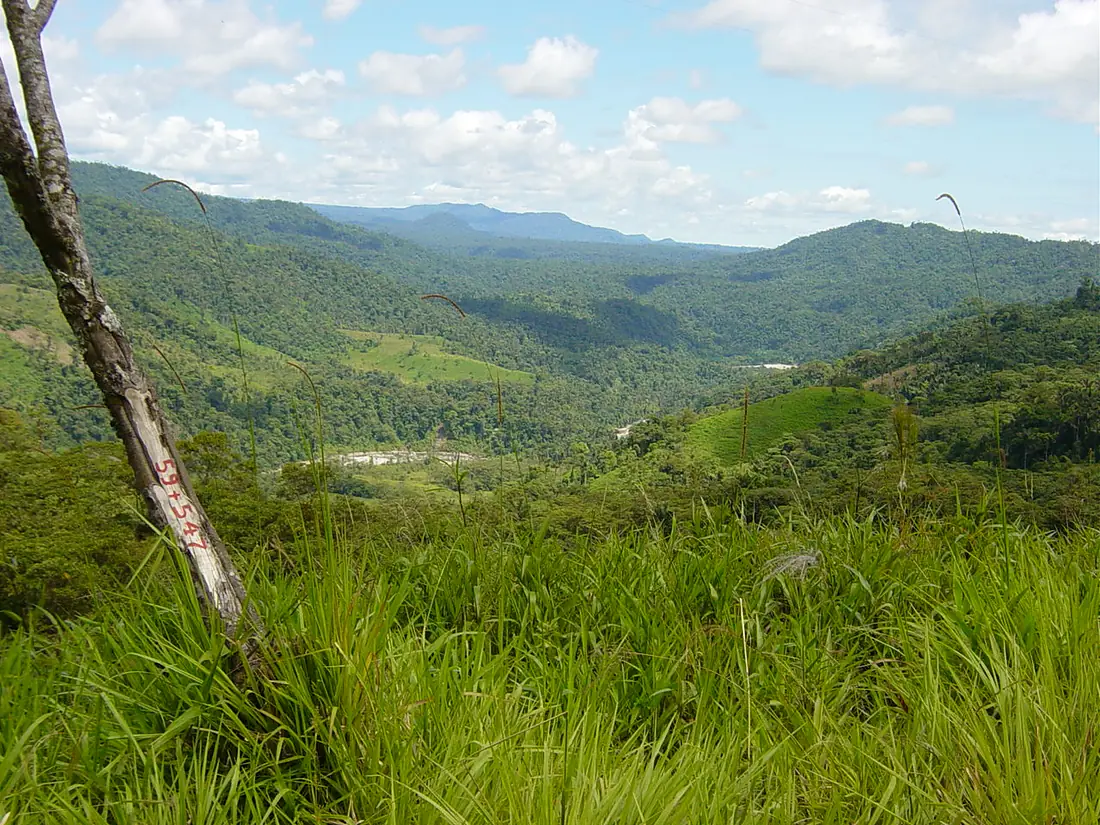 Ecuador SanguayNationalPark