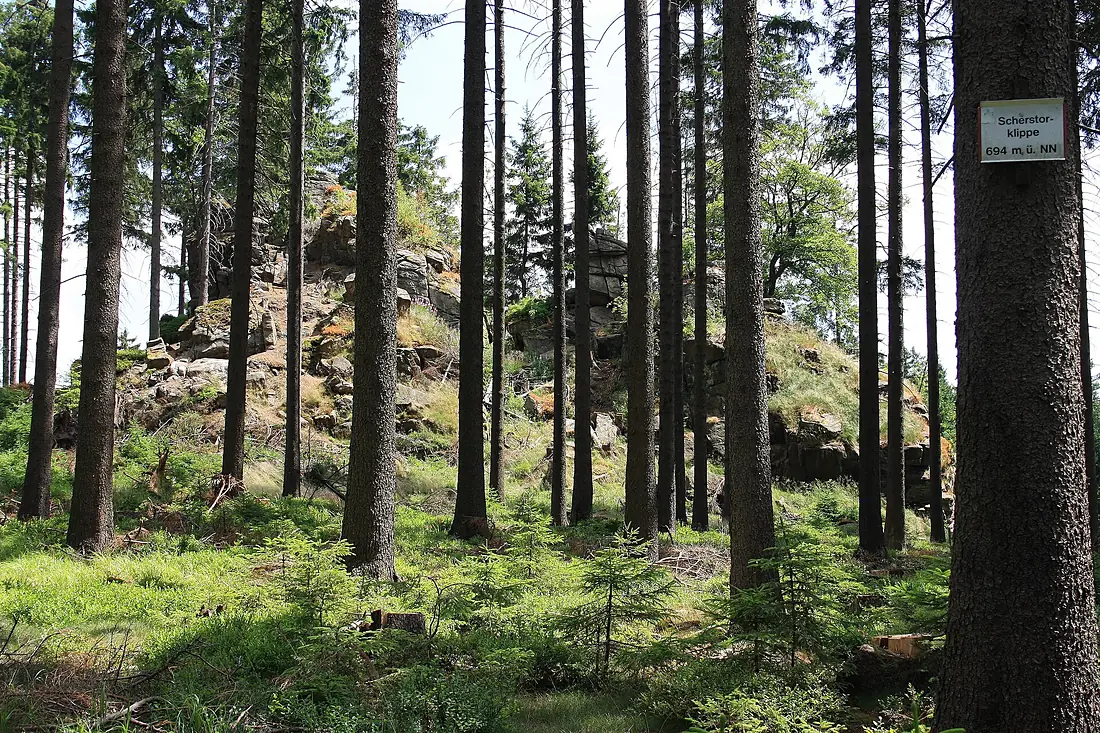 Harzwanderung Oberharz um Braunlage - Wurmberg - An und um die Scherstorklippe - panoramio (1)
