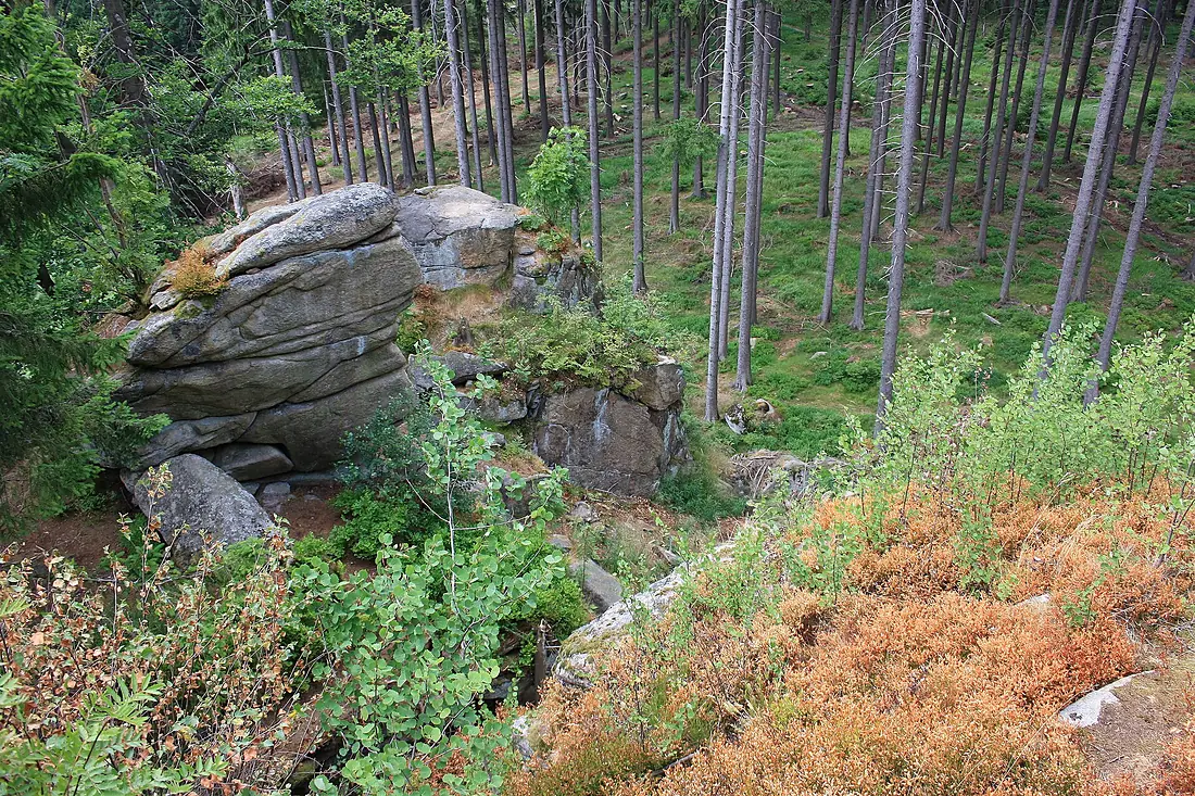 Harzwanderung Oberharz um Braunlage - Wurmberg - An und um die Scherstorklippe - panoramio (4)