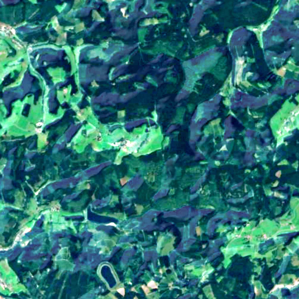 Schomberg Observation Tower seen from above (Sentinel-2)