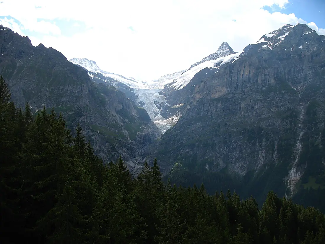 5346 - Grindelwald - Wetterhorn, Schreckhorn, Mettenberg, Oberer Grindelwaldgletscher