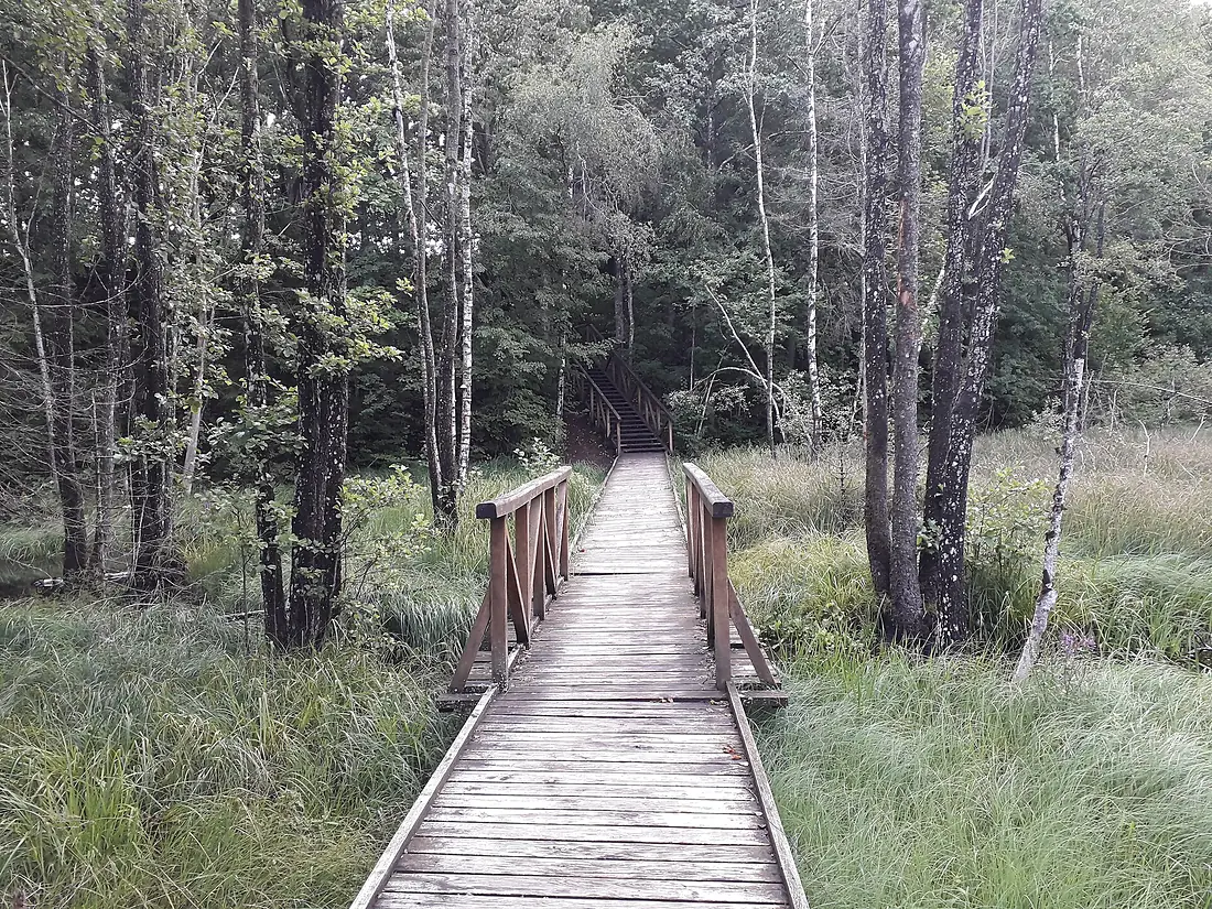 Siberijos bokšto takas