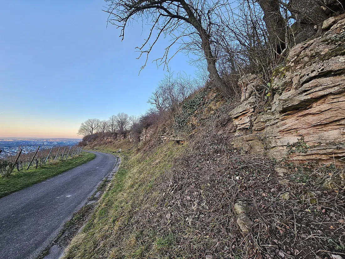 Sieben Linden (24017)