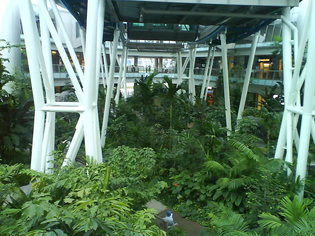 1 - Yakult Rainforest Discovery