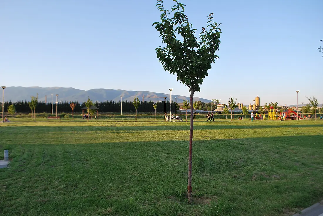 Skopje FF (24)