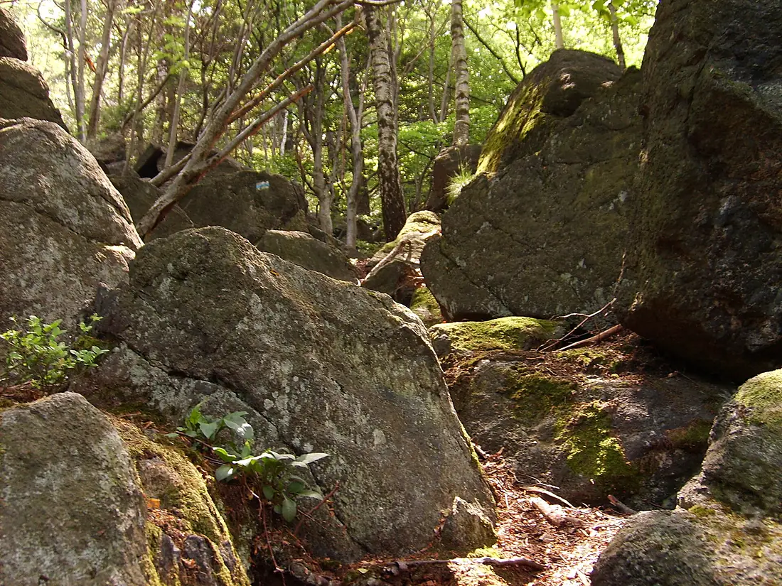 Blue trail near Skalna Perć (Rocky Path) - panoramio