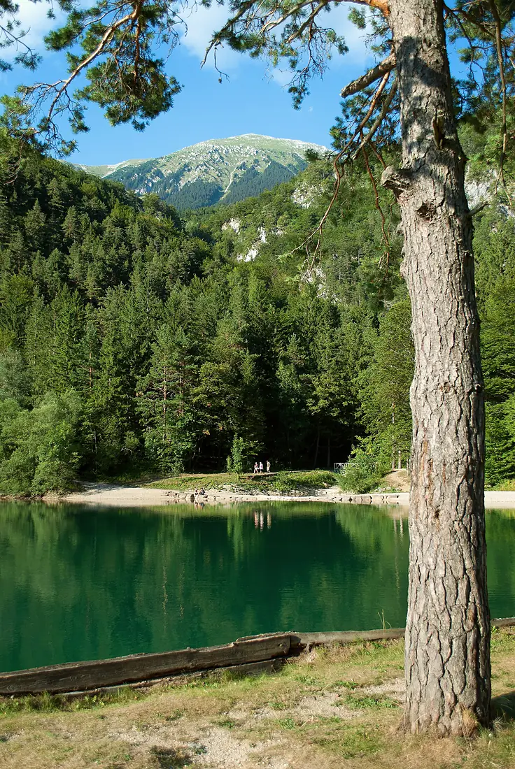Završnica - Stol 01