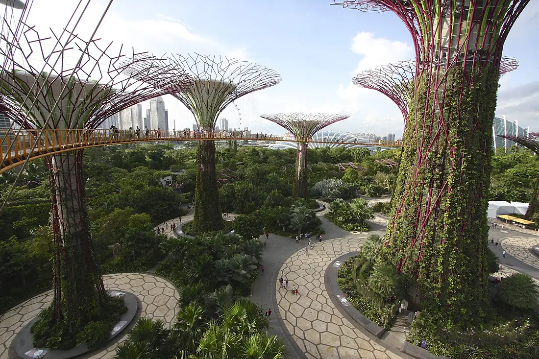OCBC Skyway, Supertree Grove, Gardens by the Bay, Singapore - 20140809