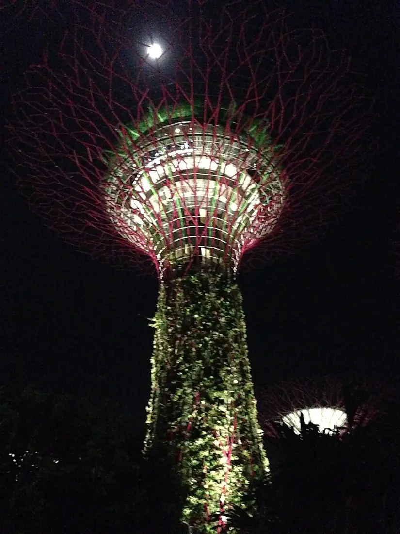 Supertree Grove, Gardens by the Bay, Singapore, at night - 20150530-02