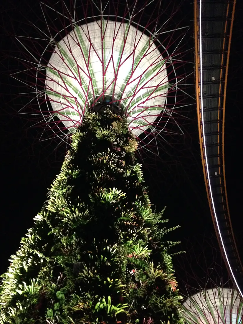 Supertree Grove, Gardens by the Bay, Singapore, at night - 20150530-03