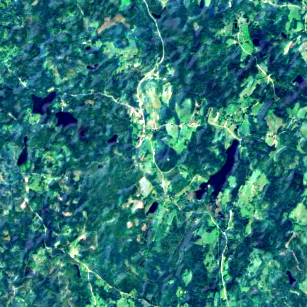Suur Munamägi Tower seen from above (Sentinel-2)