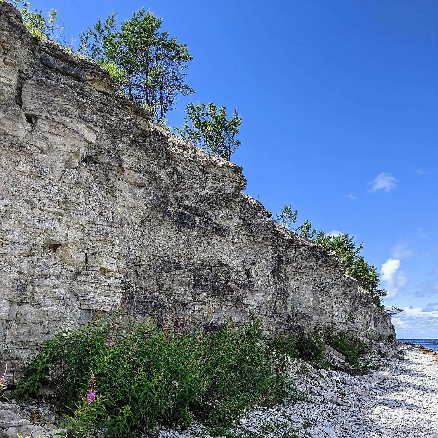 Suuriku cliff, Saaremaa island, Estonia