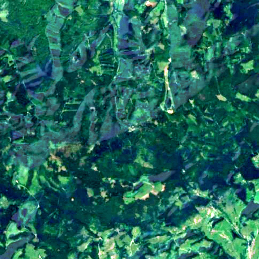 Tetřev seen from above (Sentinel-2)