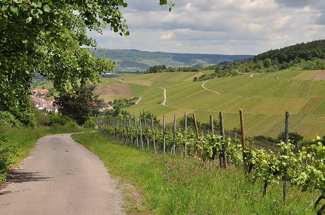 Blick vom Nordrand des Schurwaldes Richtung Remstal über Stetten hinweg)