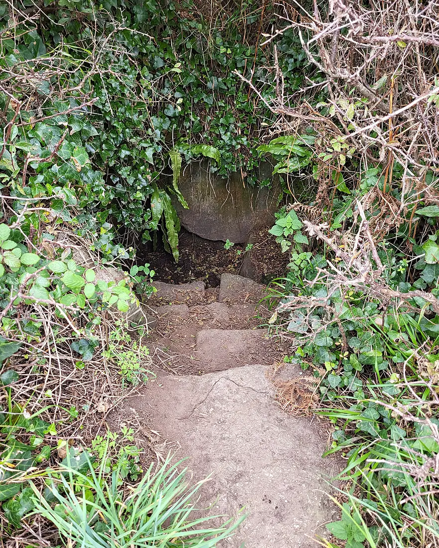 Treen Cliff (South Coast)