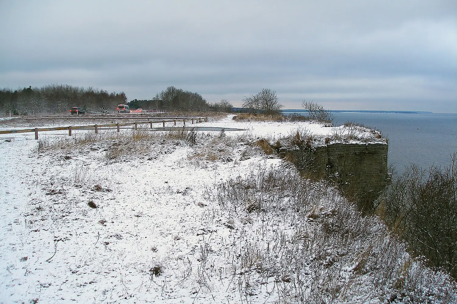 Türisalu cliff, Dec 2009