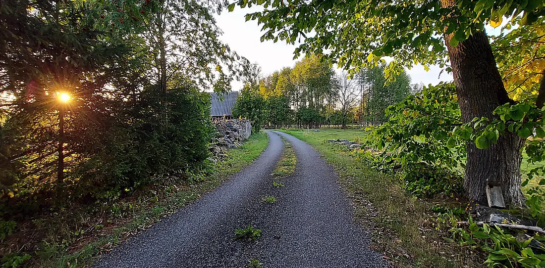 Vahtrepa
