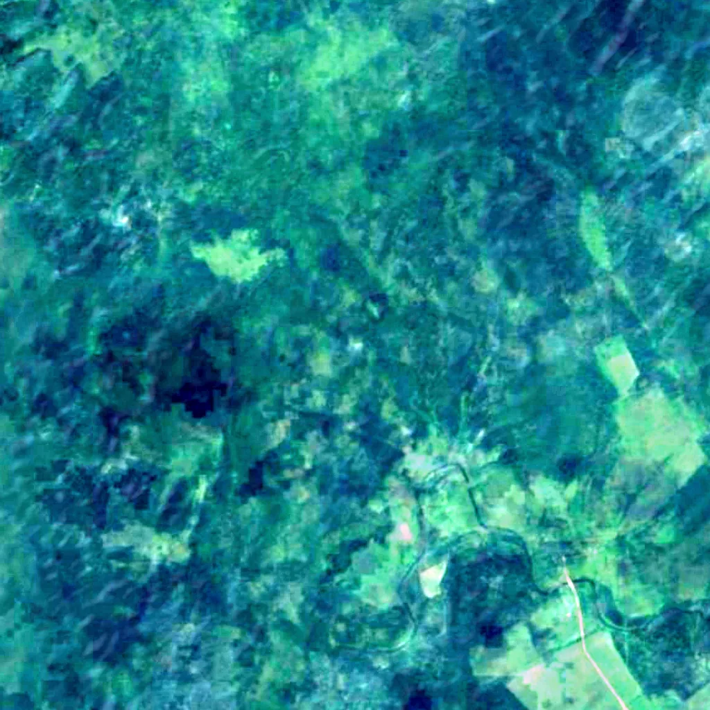 Valdai Hills seen from above (Sentinel-2)