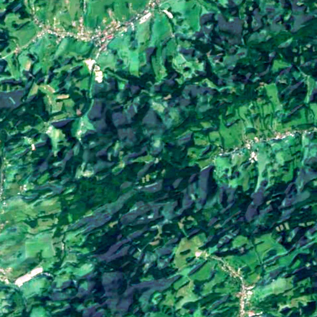 Vartovna observation tower seen from above (Sentinel-2)