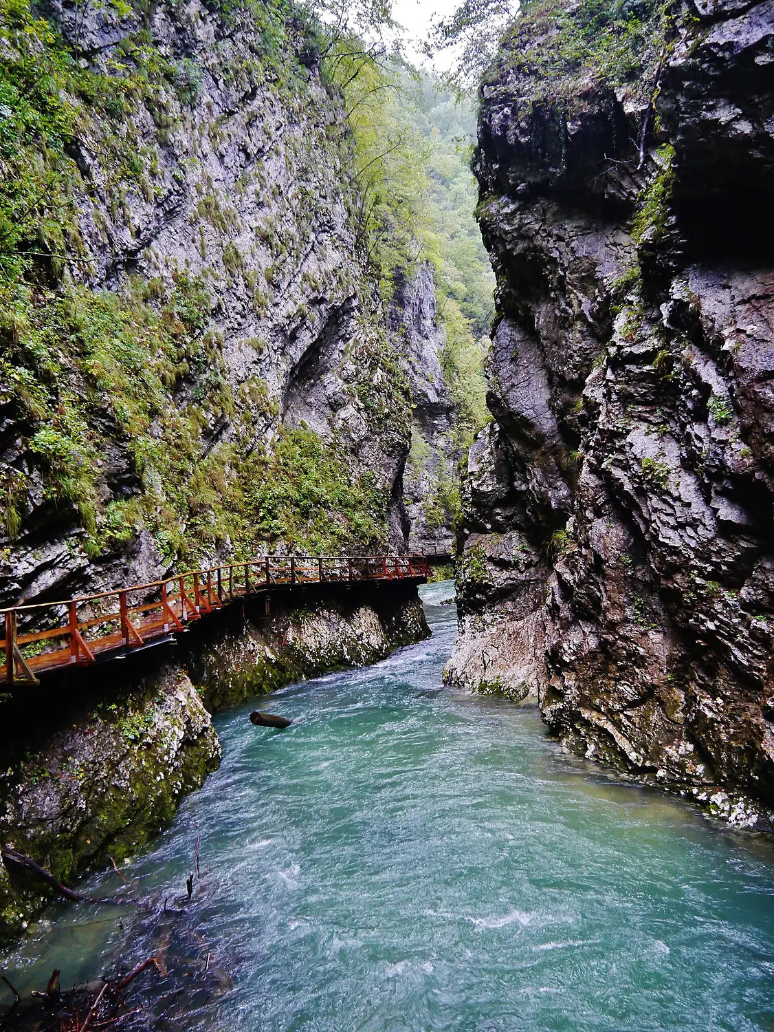 Bled Vintgar-Klamm 38