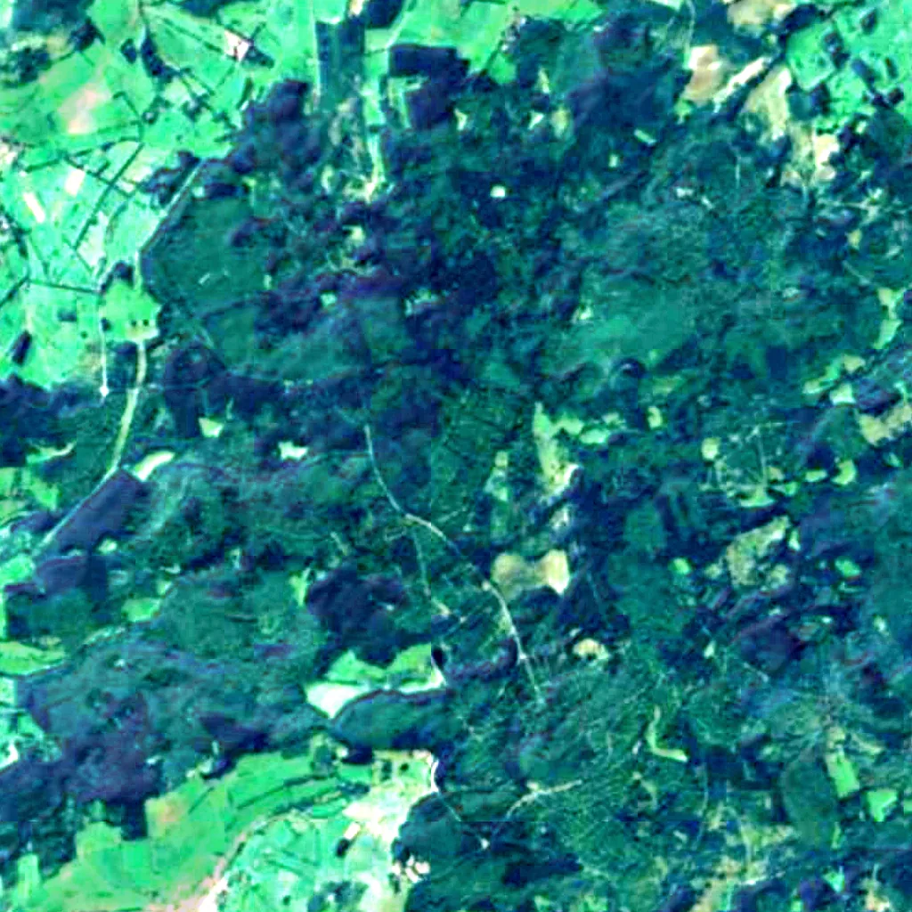 Vogelsberg seen from above (Sentinel-2)