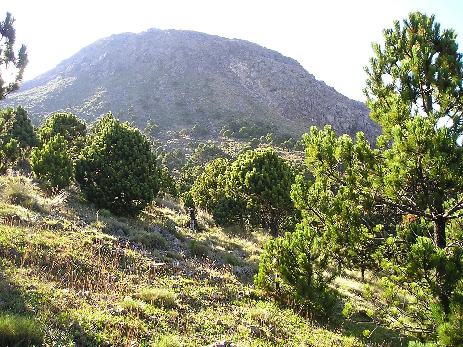 Tajumulco volcano 01