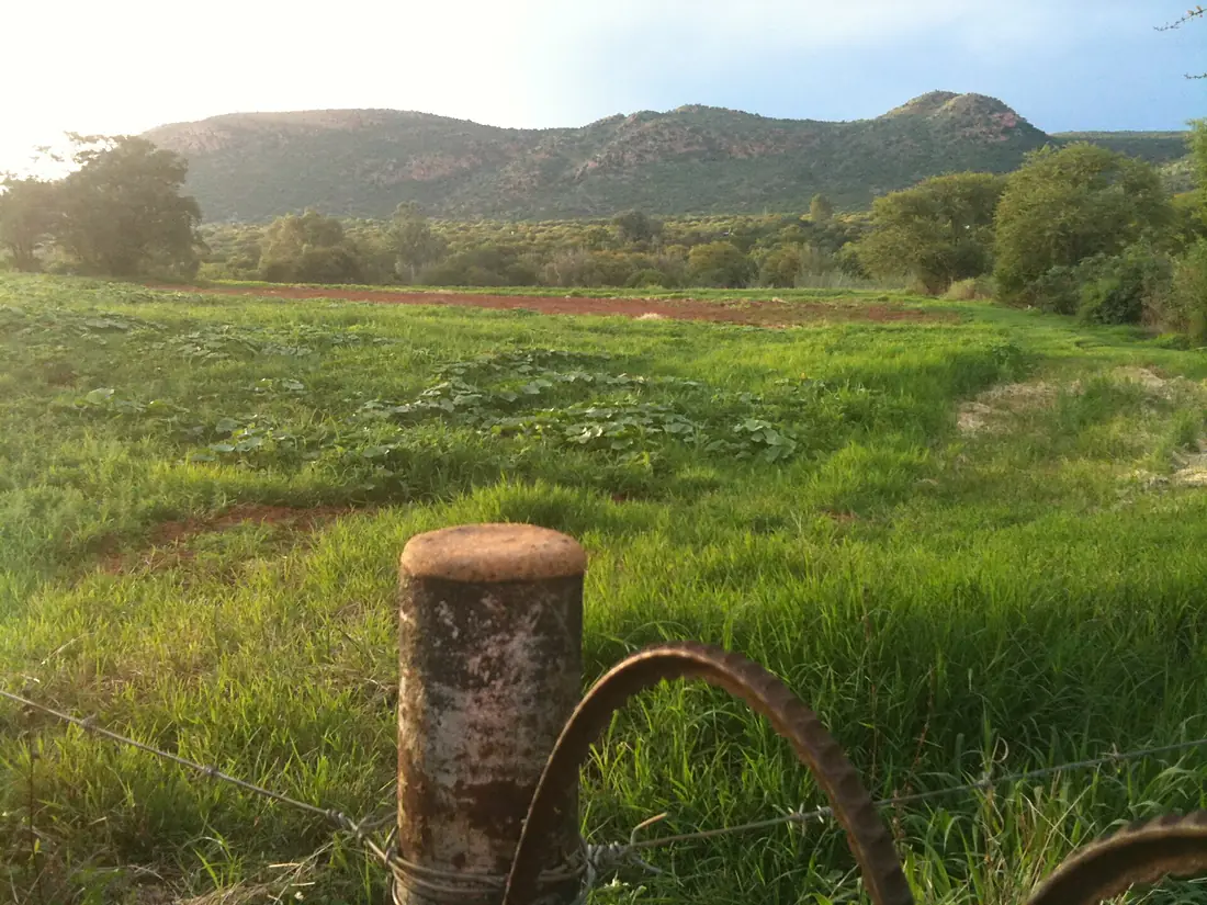 Vredefort dome - Vaal River - panoramio