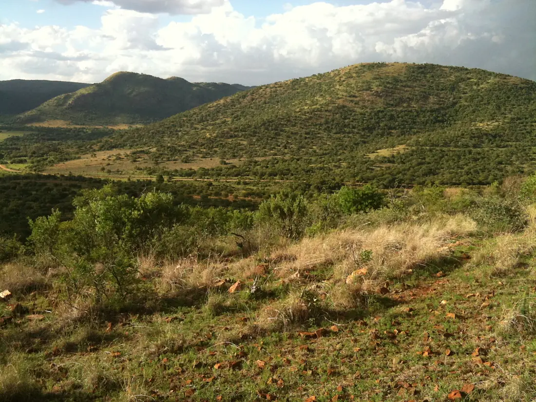 Aasvoelkop - Vredefort dome - panoramio