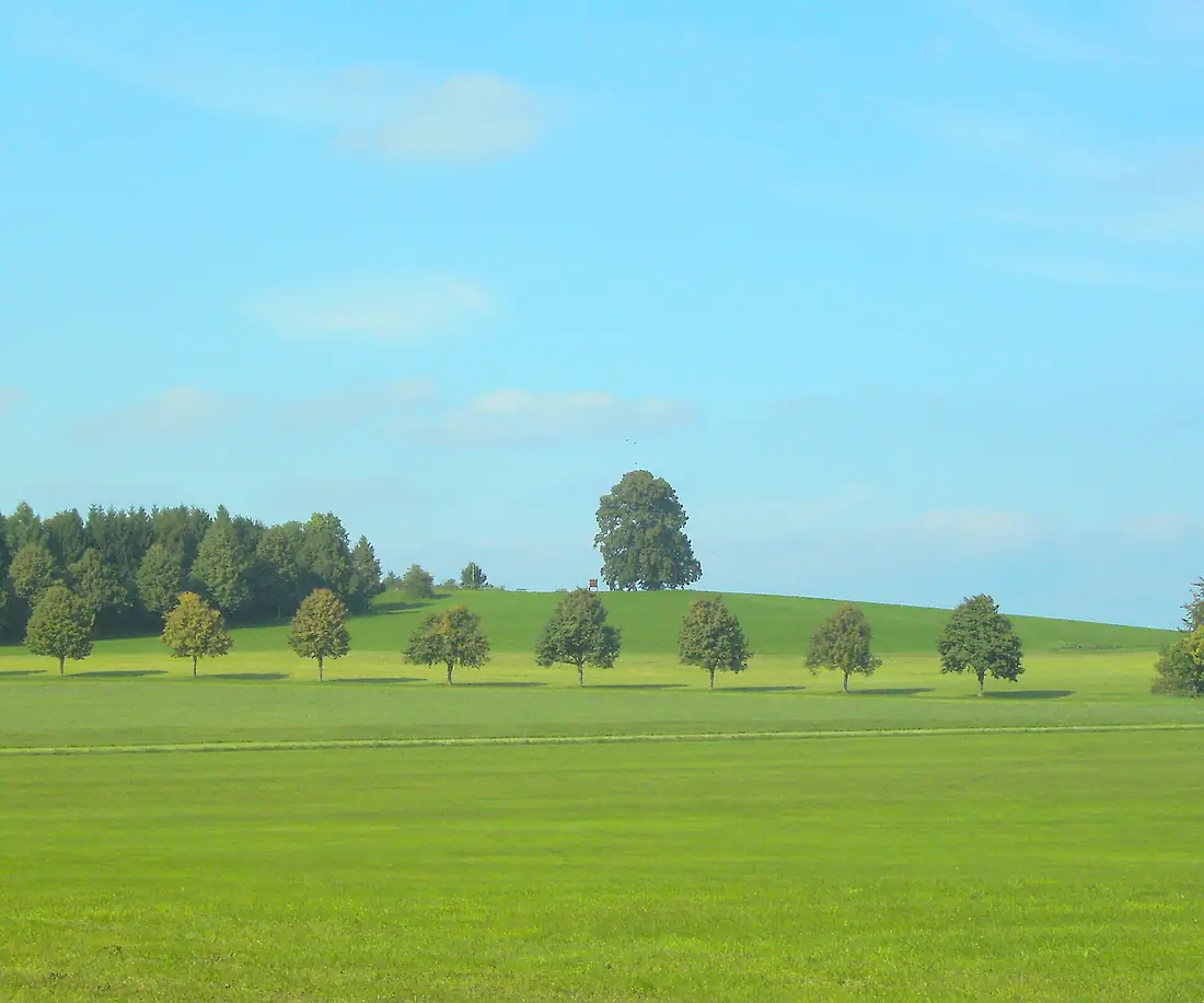 Wachbühl-2008