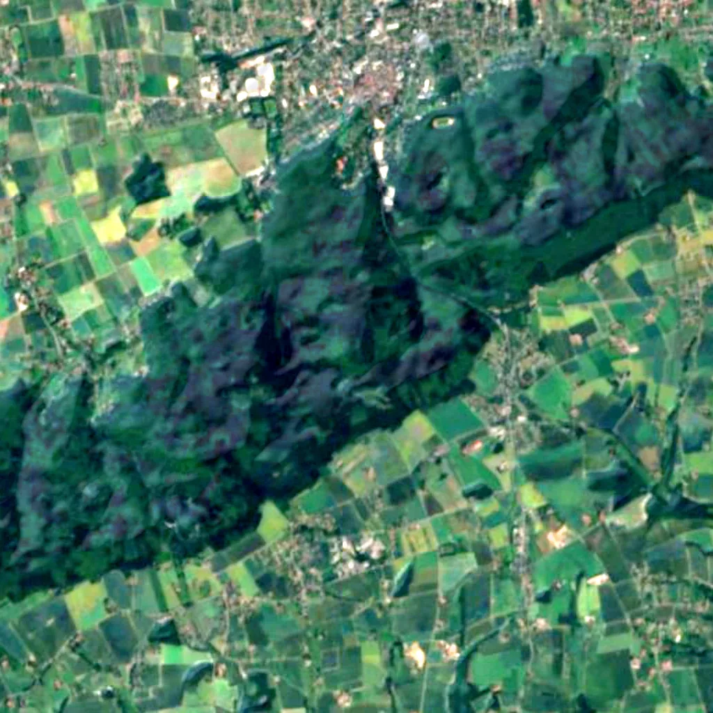 Wartturm seen from above (Sentinel-2)