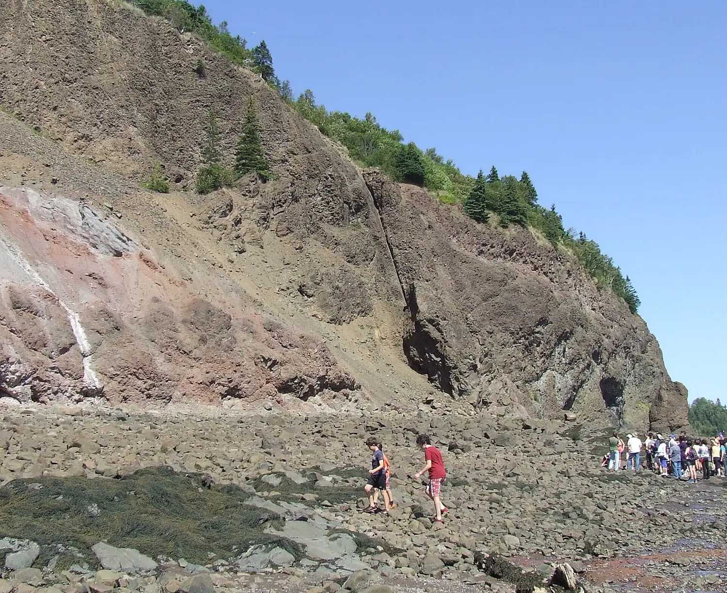 Wasson Bluff, Nova Scotia