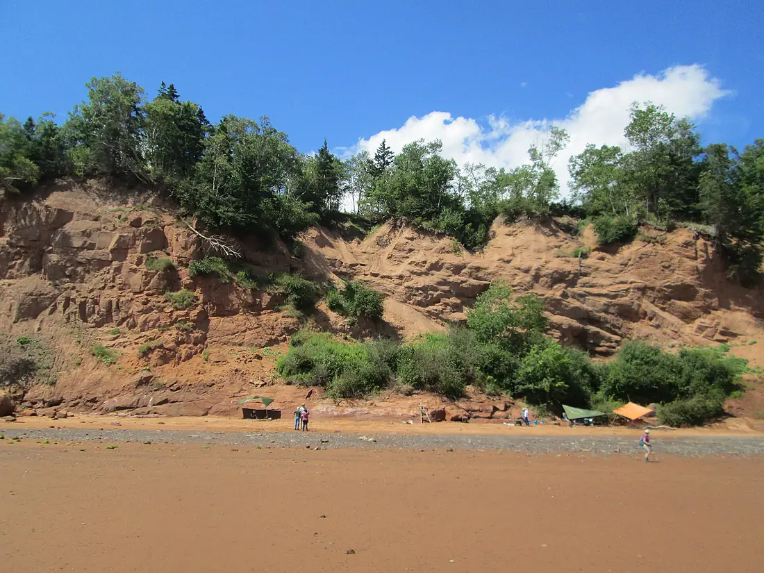 Dinosaur site at Wasson Bluff, NS (28069569054)
