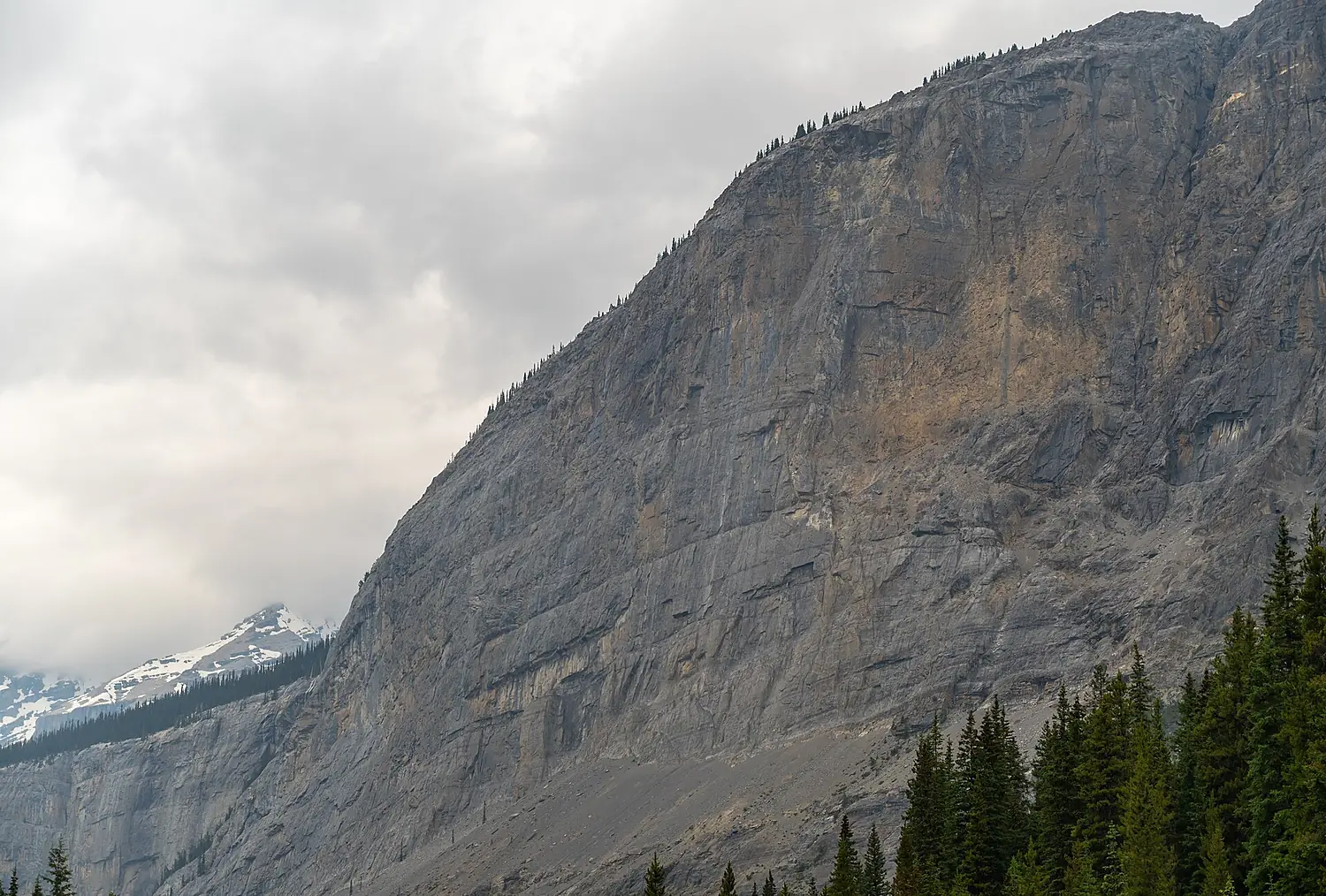 Weeping Wall, Banff National Park, Alberta, Canada