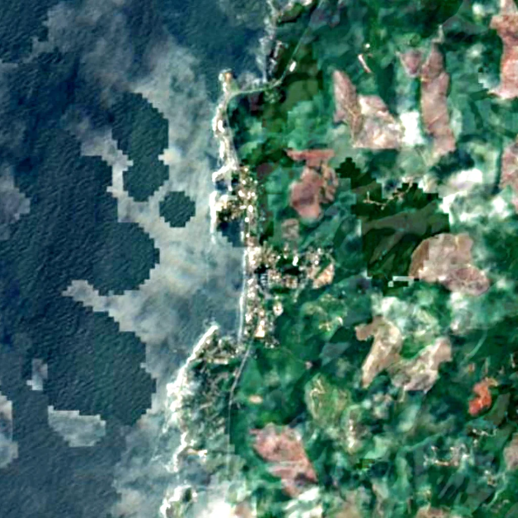 Whale Watching Center seen from above (Sentinel-2)