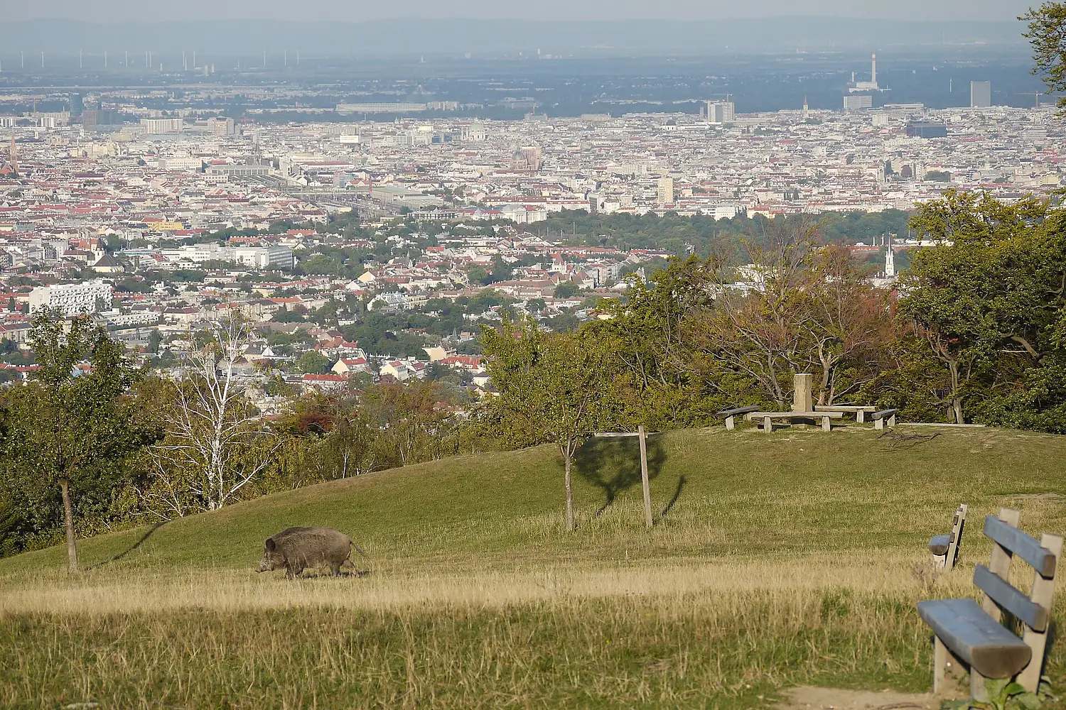 Lainzer Tiergarten Wienerblick Grenzstein 1