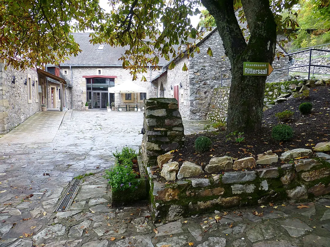 Burg Wildenburg