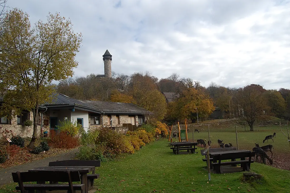 Wildenburg01
