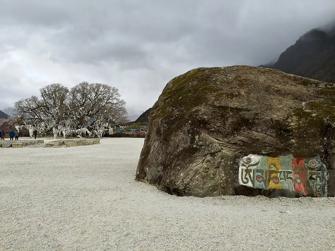 Mainling, Nyingchi, Tibet, China - panoramio (18)