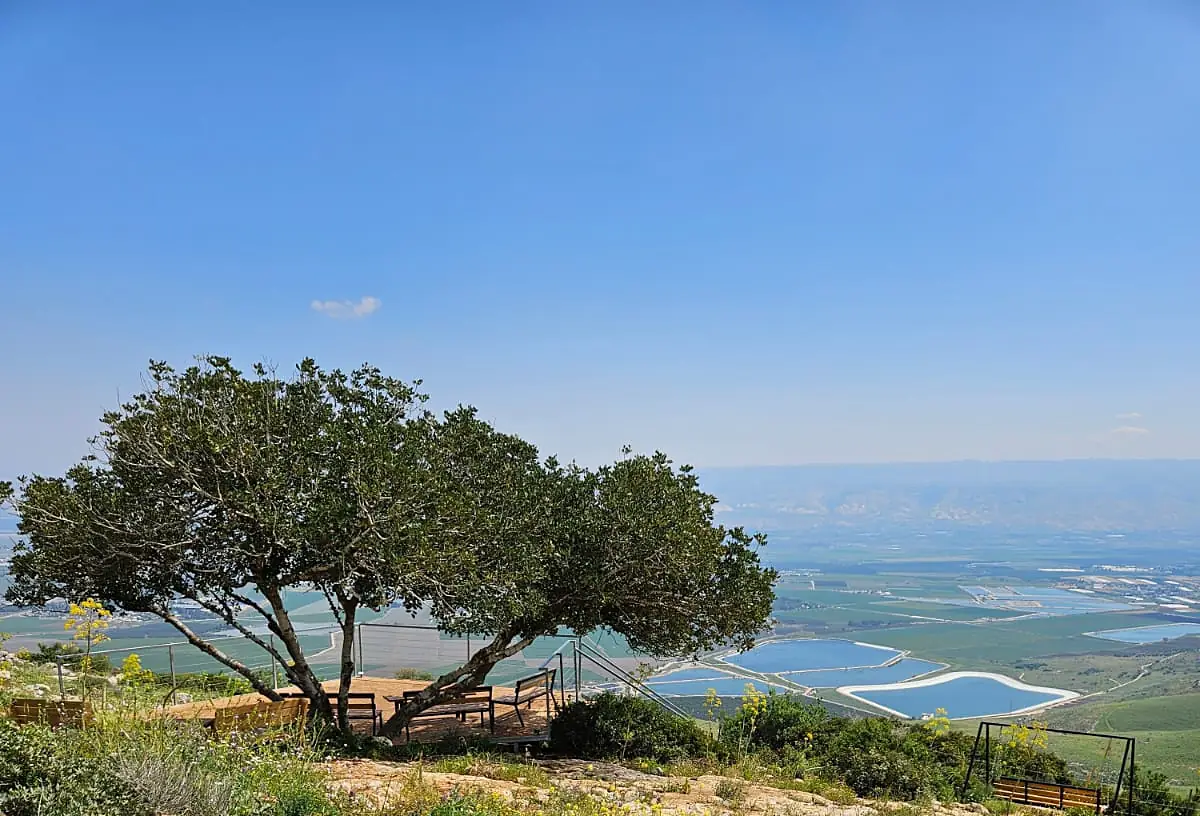 Yehonatan Deutsch Lookout 1
